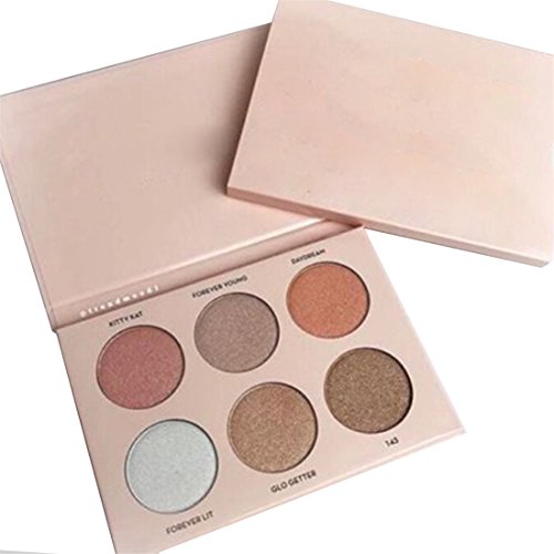 VWH 6 Farben Lidschatten Palette Makeup Eyeshadow Kosmetik Profi Augenpalette - 6