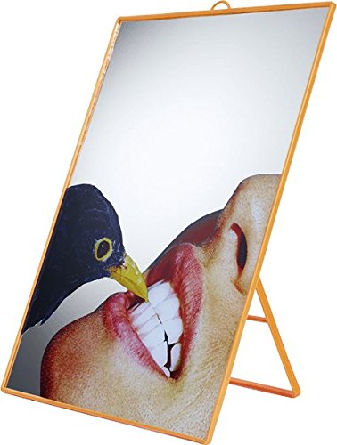 Toiletpaper Mirror Cm.22,5X29,5 – Blackbird - 2