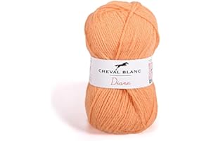 Laines Cheval Blanc - DIANE fil à tricoter 50g - 100% acrylique - Fil pour tricot et crochet - Pelote douce et chaude, idéale tricot adulte et layette