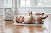 Ubbi Nappy and Wipes Storage Caddy with Changing Mat