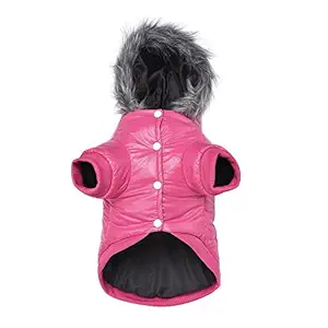 LESYPET Dog Warm Winter Coat - Waterpoof Paded Warm Hoodie Jacket for Puppy Small Dogs