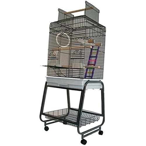 Amazon.fr cage perroquet gris du gabon