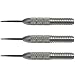 Produktbild 23 g Target Dartset Steel Power Silverlight Phil Taylor