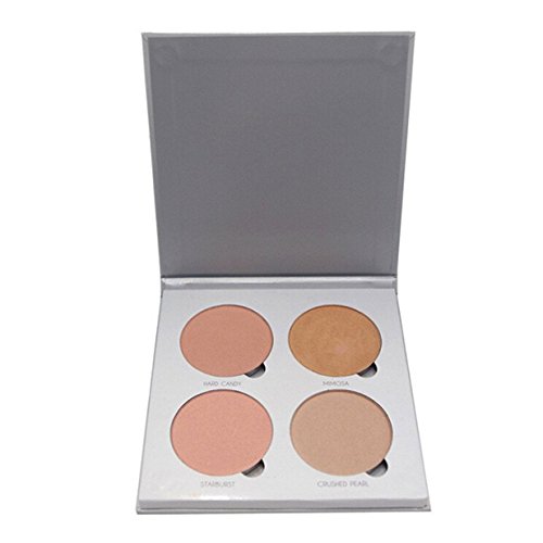 Lalang 4 Farben Make-up Concealer Pulver