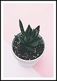 Impresión en papel premium Artesta Lámina de un Cactus