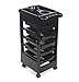 TekNoh - 6 Tier - Classic Salon Rolling Storage Trolley - Hairdressers Hairdressing Spa Hair Stylist Beauty Barber Cart Drawers Roller