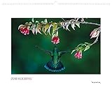 Image de Kolibris 2018: Kalender 2018 (KUNTH Wandkalender White Edition 60 x 45 cm)