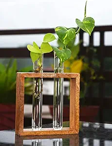Decoright, Test Tube planters, Home Decor Items - Wooden Test Tube planters for Office Decor- Glass Flower vase as Home Decor or Office Desk planters Set of 2