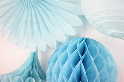 SUNBEAUTY Blau Set Papier Blumen PomPoms Wabenball LampionGeburtstag Babyshower Dekoration - 4