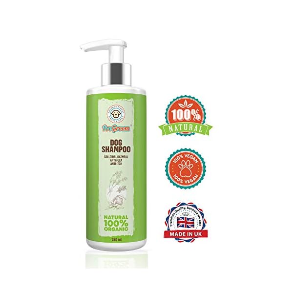 ProGroom Oatmeal Dog Shampoo Vegan, Organic, Natural Puppy Shampoo