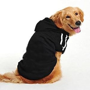 Namsan – Sudaderas deportivas con capucha para perros medianos y grandes