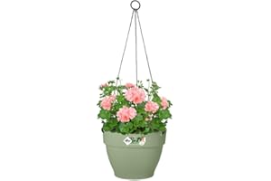 Elho Vibia Campana Hanging Basket 26 - Macetero por Exterior - Ø 26.0 x H 18.4 cm - Verde/Pistache Green