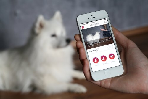 Tractive-Pet-Remote-Dog-Clicker