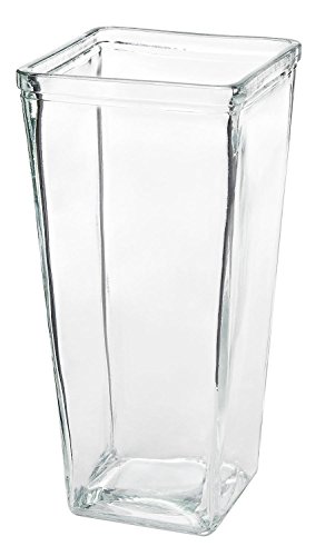 VBS Glasvase "Vitrea"