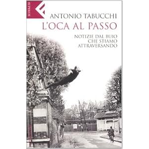 L'oca al passo. Notizie dal buio che stiamo attrav