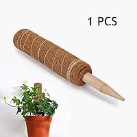 Amazon.es: Soportes para plantas: Jardín