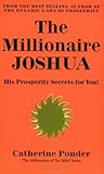 The Millionaire Joshua - the Millionaires of the Bible Series Volume 3: His Prosperity Secrets for You! (Her the Millionaires of the Bible) by 