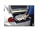 Fisher-Price My Little Lamb Deluxe Infant Seat