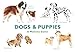 Produktbild Dogs & Puppies: A Memory Game
