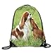 Produktbild gthytjhv Borsa da trasporto Drawstring Bag Cavalier King Charles Spaniel Dogs Rucksack Hiking Travel Color 02 Lightweight Unique 16.9x14.2