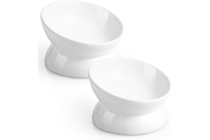 LoeJan Elevated Cat Food Bowl, 5 Oz Ceramic Raised and Tilted Pet Water Bowl, Anti Vomiting and Protect Pets' Spines Cat Dishes for Small Dog, Fat Faced Cat, Kitten (White, 2 Pack)