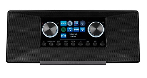 Medion 50056415 MD 87990 (2,8 Zoll TFT-Display) WLAN Internet-Radio, grau