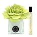 HERVÉ GAMBS Vert Tubereuse Room Spray 10 ml and Green Couture Flower Diffuser Gift Box