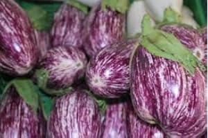 HENSITA Italian Heirloom Heritage Aubergine Eggplant Seeds. Pandora Striped Rose. Certified Organic Grower