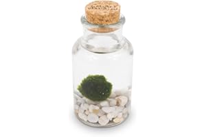 Marimo Original Bottle - Happiness - White Background