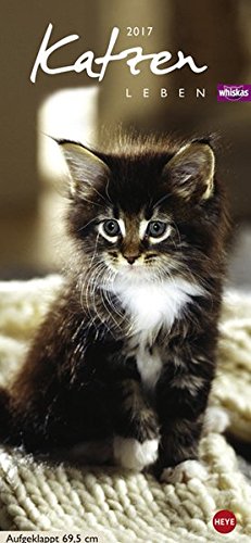 Whiskas Katzenleben - Kalender 2017