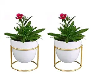 Pottery Studio, Designer Plant Pot with Stand, for Your Home Garden // Balcony Garden // Home Dcor // Office // Hotel // Bar // Office_(Pack of 2)_(PS-PLANTER-05)