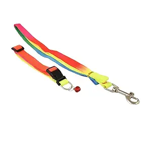 Dog & Cat Dog Belt Combo of Multicolor Ghungroo Collar with Multicolor Lead 1.5m Lengthy Rainbow Dog Collar & Leash for Puppy, Kittens, Cats & Small Animals, Pack of 1 (Multicolor)