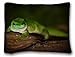Produktbild Lepilo Decorative Standard Pillow Case Animals Gecko Day s Madagascar Lizard Macro Tree Green 20 x 30 One Side