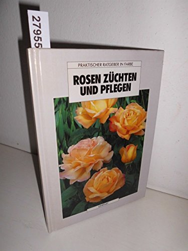 Rosen züchten und pflegen