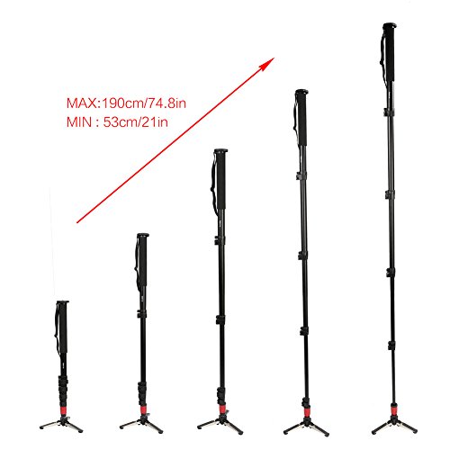 Koolertron Professionnel Cam  ra Manfrotto Monopode en Aluminium avec Trois Pieds de Support Stand Pliant et Sac de Transport 4 Sections Hauteur maximum 190cm pour Appareil Photo Tout Canon Sony Nikon  74 8 pouces 