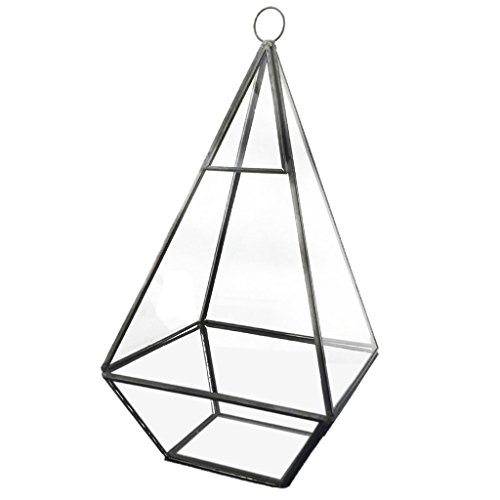Generic Modern Design Glas Terrarium Geometrisches Sukkulente Pflanzen Deko – Rautenförmig – 12 * 12 * 24,5 cm - 8