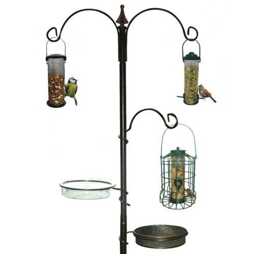 Bandeja de comedor para pájaros todo en uno, ideal para comer en el baño o el agua