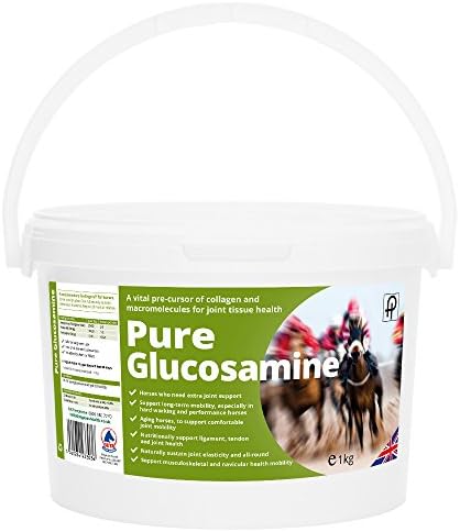 Pegasus Health Pure Glucosamine, 1 kg