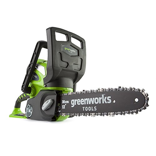 Greenworks Motosierra inalámbrica de 30cm y 40V Li-Ion con batería d