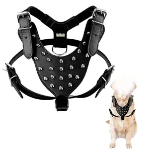 BURAQ Leather Spiked Studded Dog Chest Belt Harness Belt for Medium and Large Dogs Set of Dog Harness for Pit Bull Mastiff Boxer Bull Terrier. (Black Spike Harness)