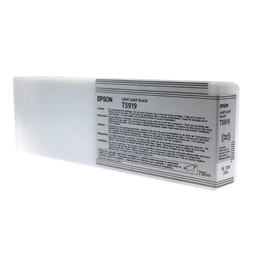 Epson T5919 Cartouche d'encre d'origine 1 x noir clair