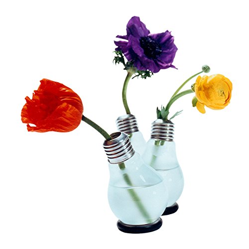 Blühbirne – Glühbirnenvase - 3