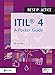 ITIL4 A POCKET GUIDE (Best Practice) by JAN VAN BON