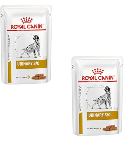 hundegeschirr leder groe hunde Signature Hundegeschirr aus Leder in Kastanienbraun