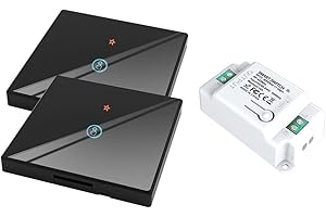 proAMEDEN Interruptor tactil de pared, panel de cristal táctil+Relé inalámbrico,10A, funciona con app Tuya/Smart Life, compatible con Alexa y Google Assistant(2/un-1*GangWS+1/un Controller Black)