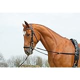 Busse Ausbindezügel BASIC-STARR, Warmblut, schwarz/NP