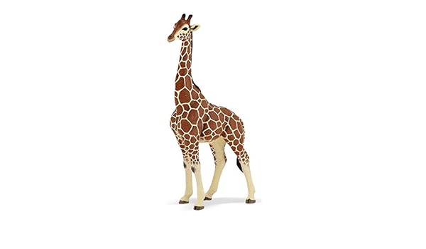 Calsd Simulations Wildes Tiergiraffen Modell Toy Giraffe Modell Office Decoration Amazon De Kuche Haushalt
