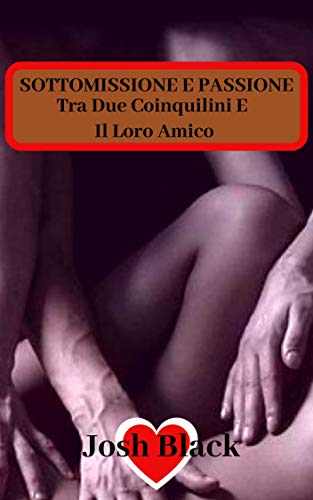 Josh Black - Tra due coinquilini e il loro amico (2019)