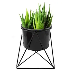 FURN ASPIRE Ceramic Plant Pot With Stand, Black, 11 x 8 cm / 4.3 x 3.2 inches