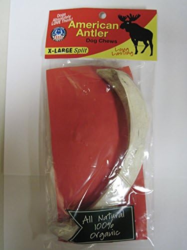 American Antler Split X-Large Antler